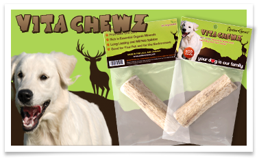 ** Antler Chew Specialty** CLEARANCE