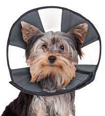 Zenpet Zencone-Soft Recovery Collar